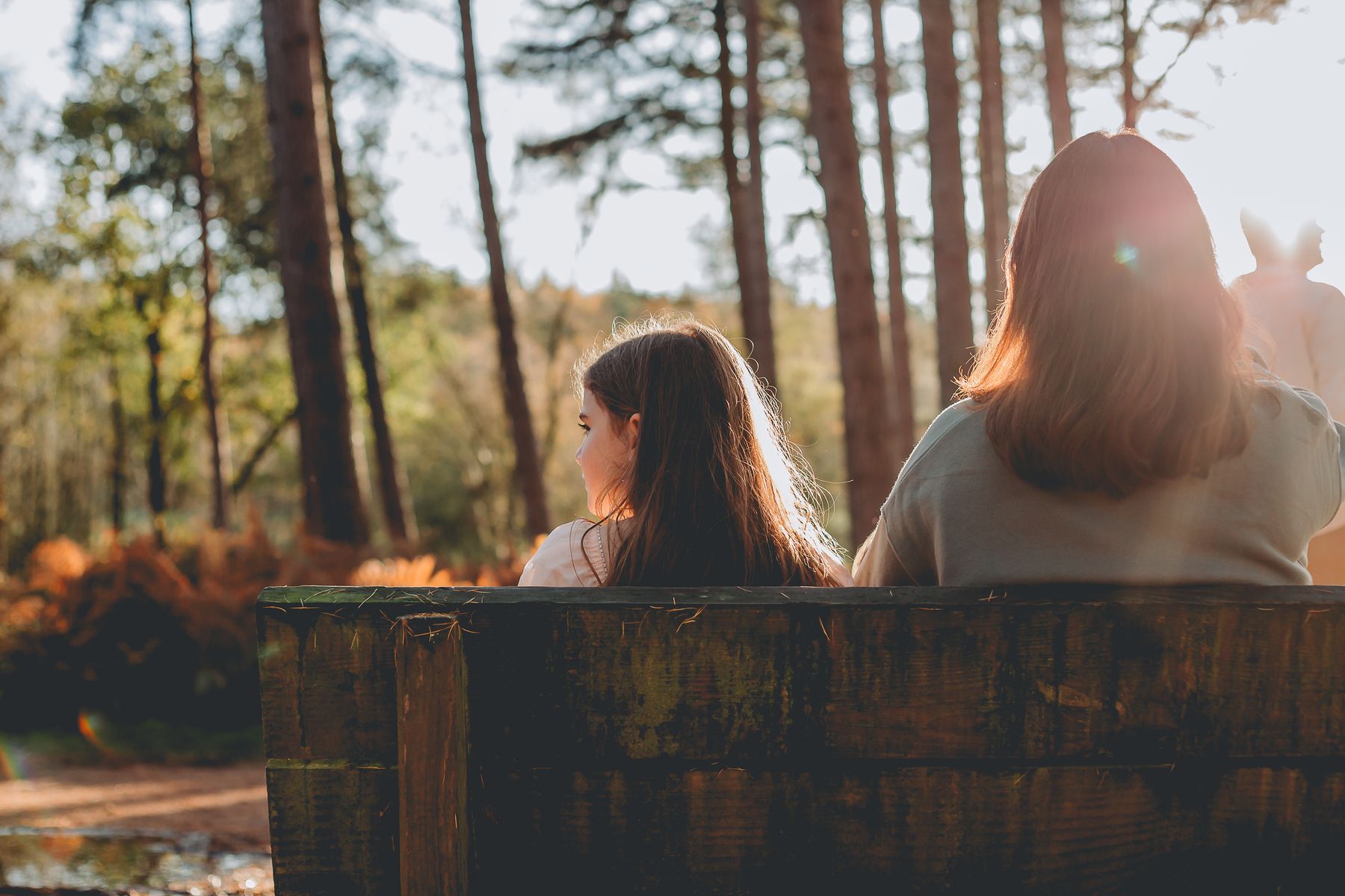 Family session photo, Delamere Forest