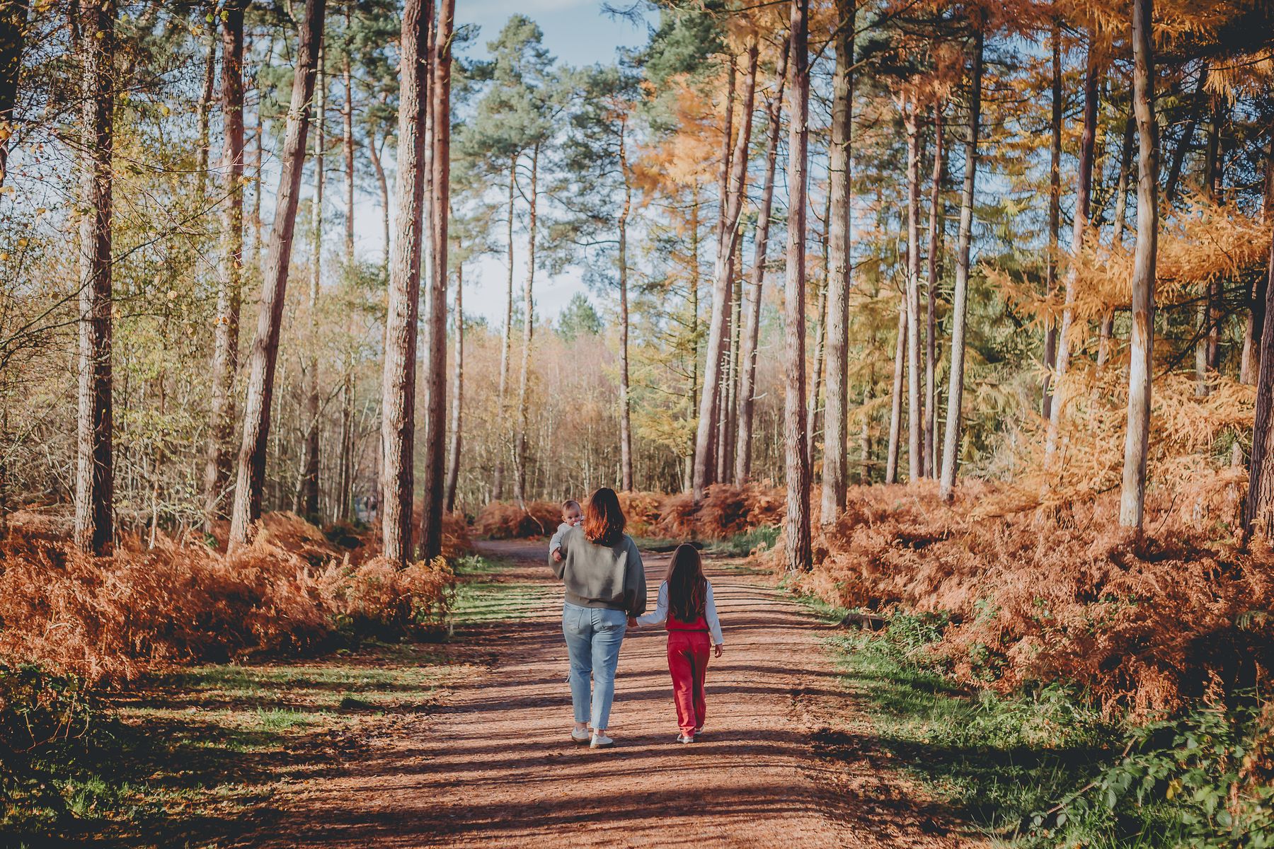 Family walking through autumn woodland, Cheshire