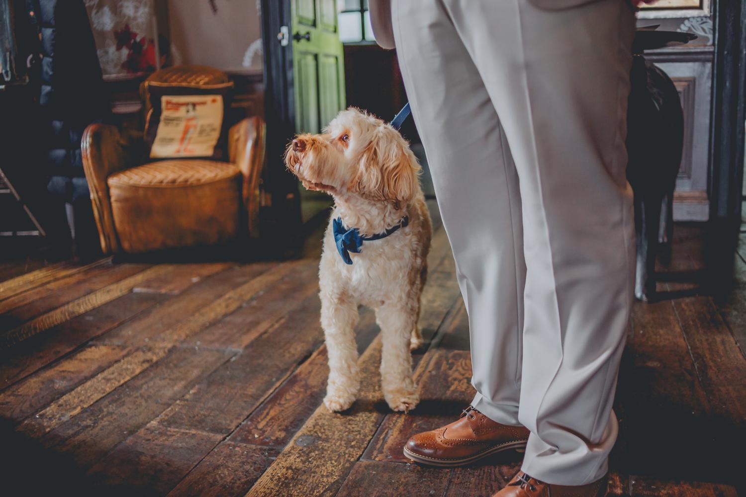 Relaxed wedding portrait, North Wales