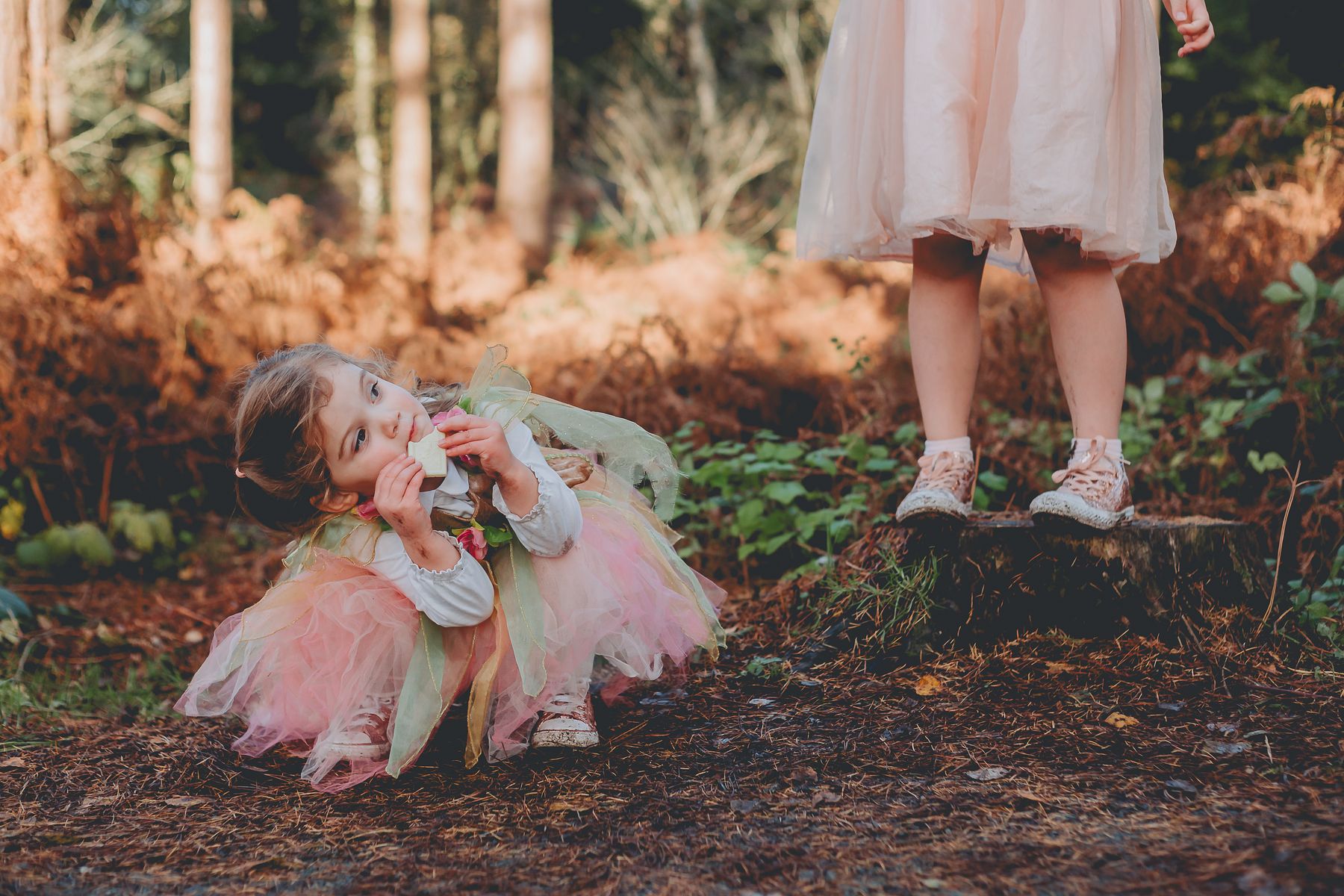 Little girl in a fairy costume, woodland family session