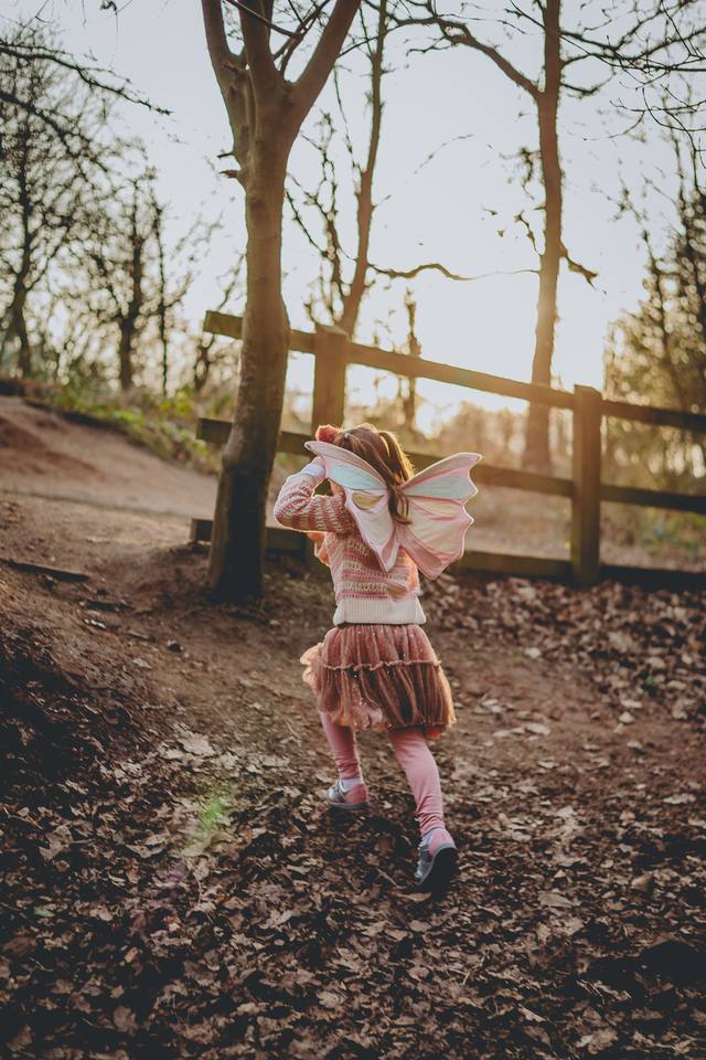 Delamere Forest family photography, autumn